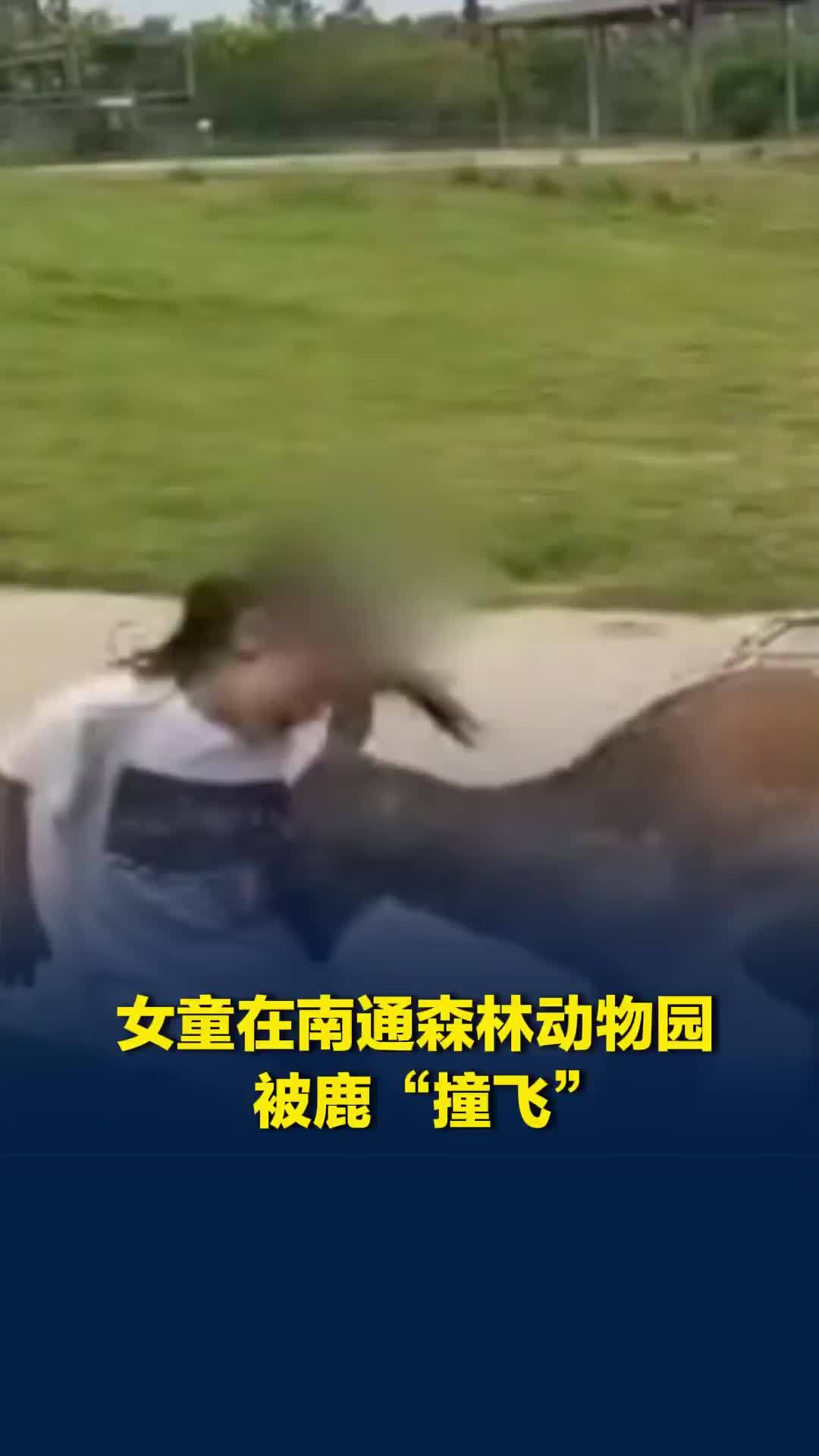 女童在南通森林野生动物园被鹿“撞飞”，园方：事发地不可停车下车，将加强提醒