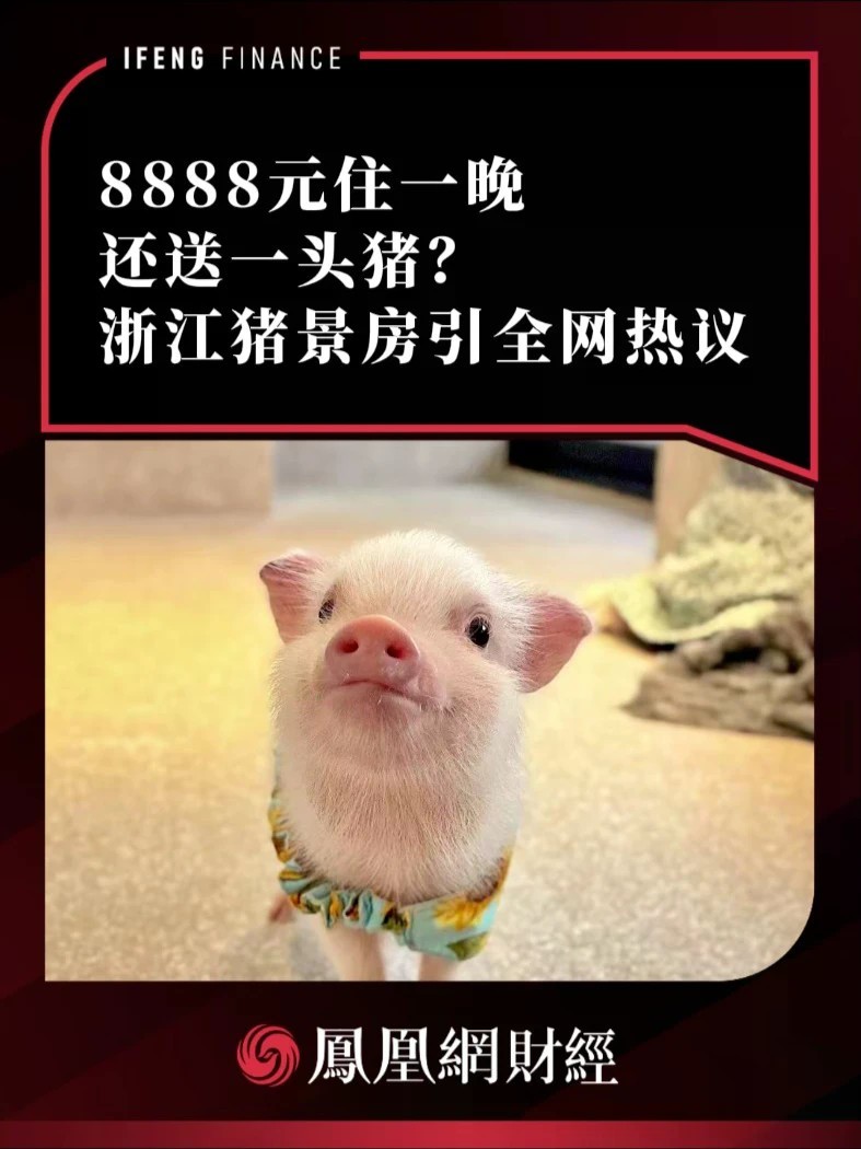 8888元住一晚还送一头猪？浙江猪景房引全网热议