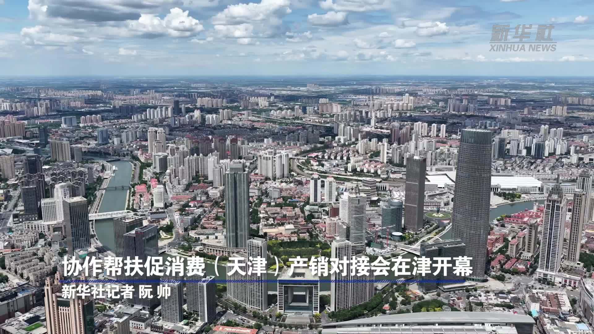 协作帮扶促消费(天津)产销对接会在津开幕