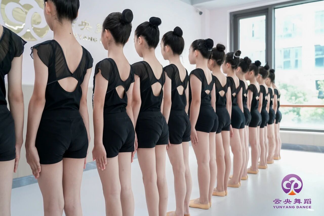 专业师资团队