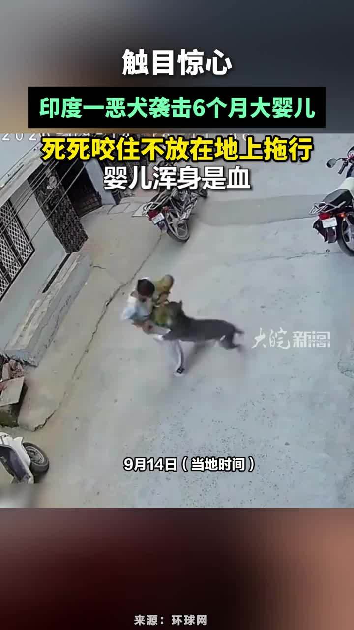 触目惊心：印度一恶犬袭击6个月大婴儿，死死咬住不放在地上拖行，婴儿浑身是血#印度一恶犬袭击6个月大婴儿
