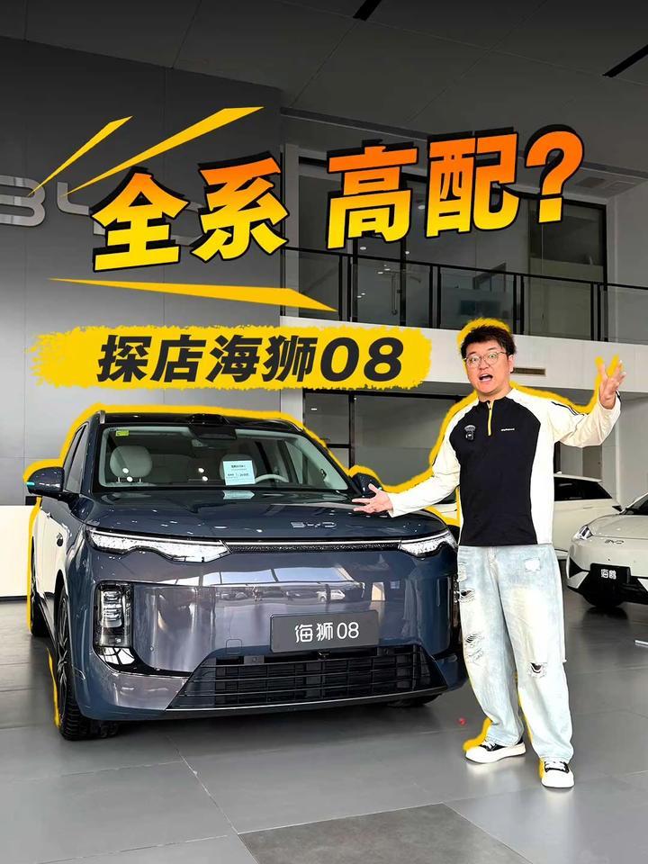 高低配？完全不纠结！探店海狮08应该怎么买？