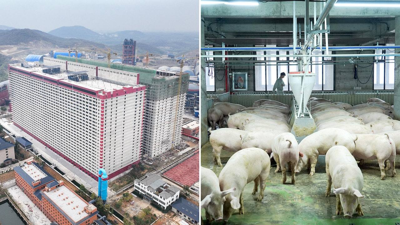 从人形机器人到AI养猪大楼,日媒惊叹中国硬核科创惊艳全球
