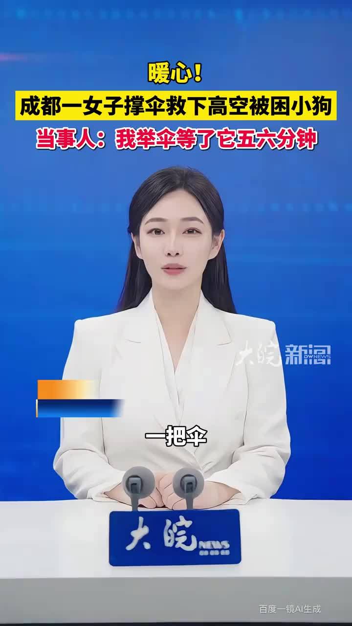 #媒体原创 暖心！成都一女子撑伞救下高空被困小狗 当事人：我举伞等了它五六分钟