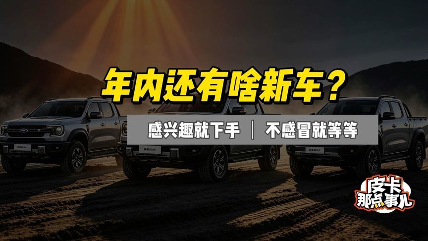 现在应该出手买车吗？年内还有啥新车？
