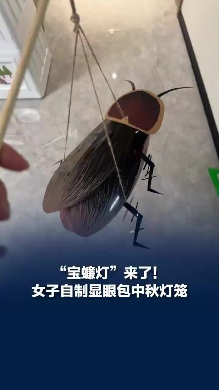 女子自制巨型蟑螂中秋灯笼，自制宝蠊灯女子称双马尾是广东特色：朋友和家人都又怕又喜欢