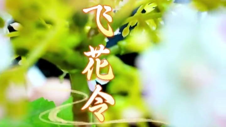 甘肃华亭人中秋大显“诗”力　“月”字飞花令你知多少