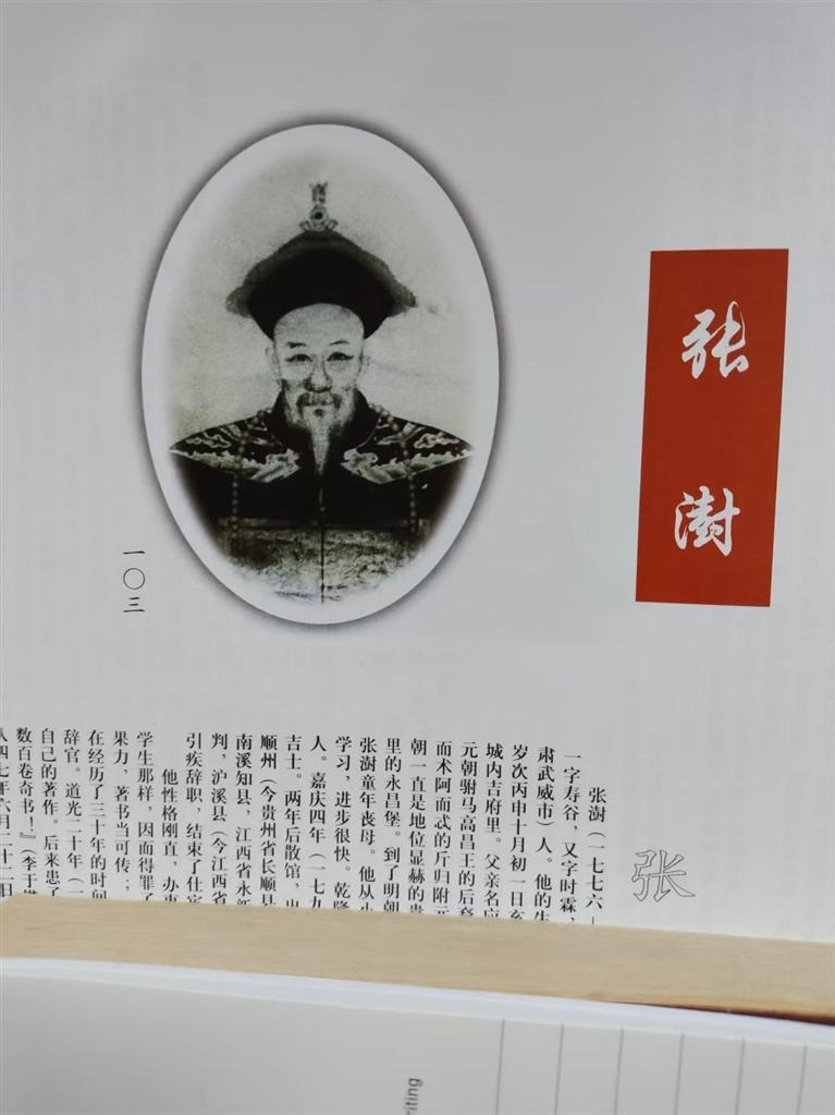 张澍画像
