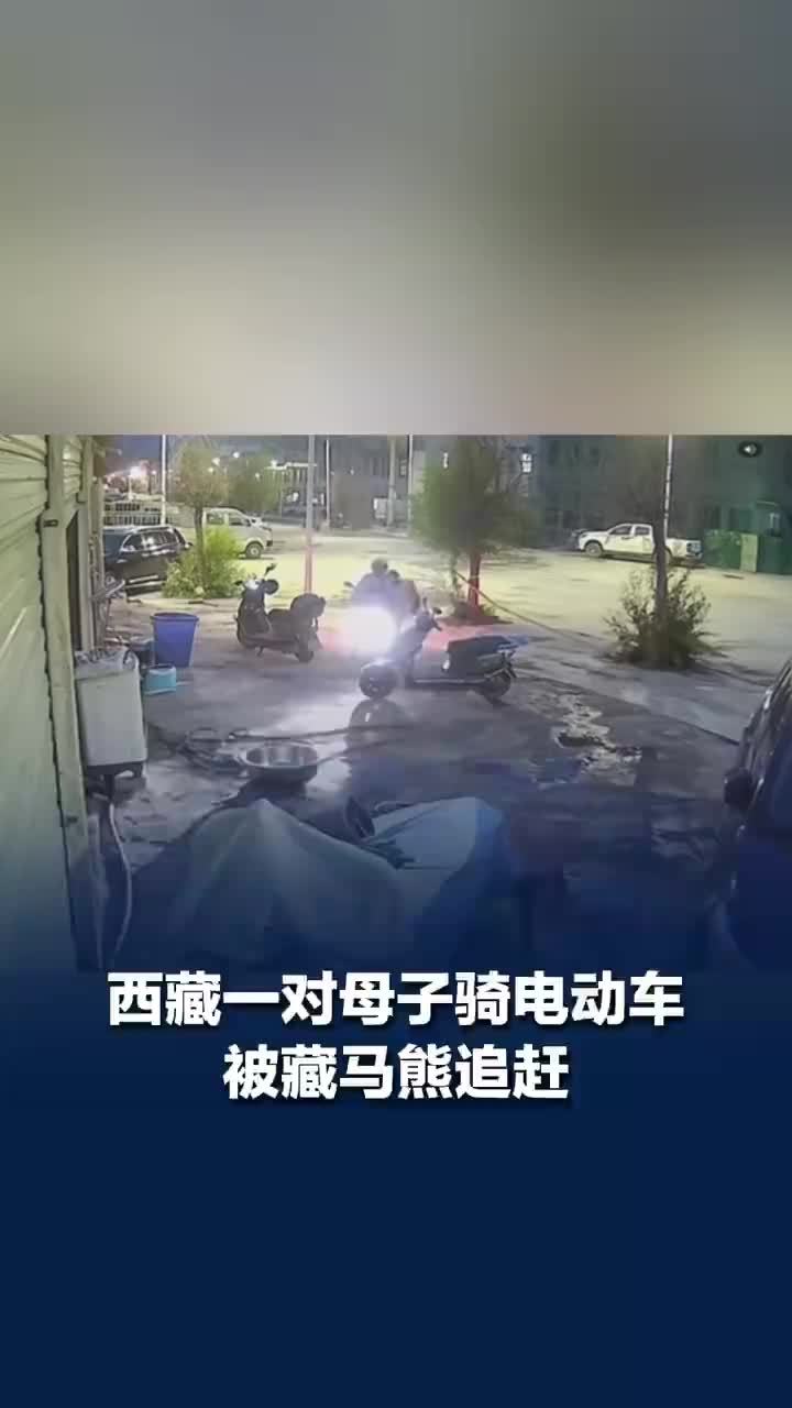 母子骑电动车被藏马熊追赶，孩子尖叫引出居民帮忙驱赶，当地回应母子骑车被藏马熊追赶