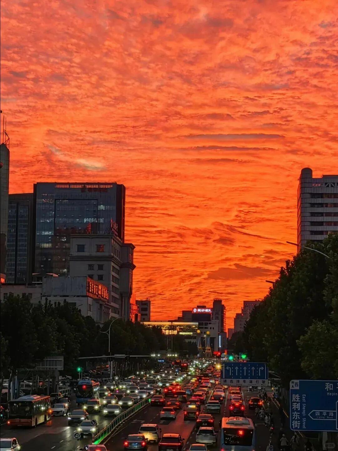 © | 躺赢的桂花糕