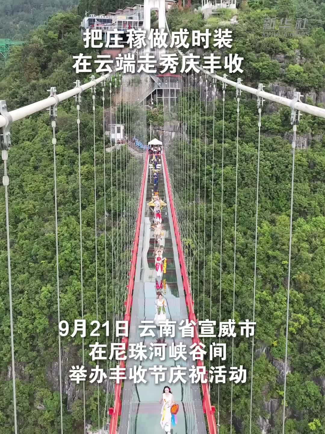 云南宣威：把庄稼做成时装 在云端走秀庆丰收