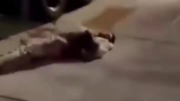 无端被捅17刀！锡克教卡车司机在美遇袭，44岁白人男子被抓