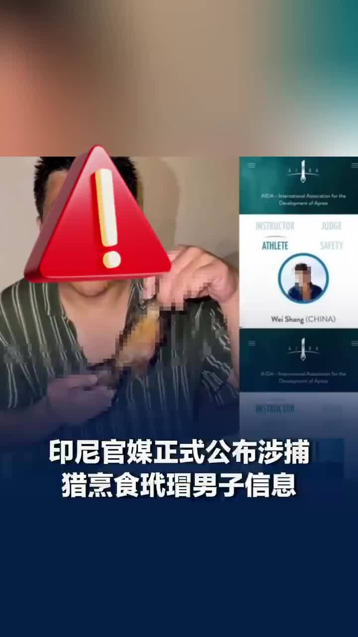 印尼公布涉嫌捕猎玳瑁中国男子信息