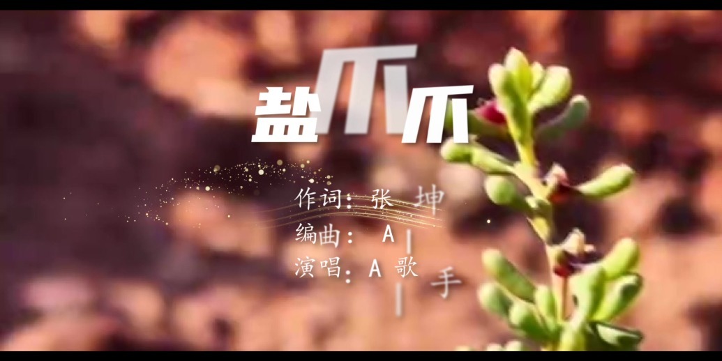 原创MV《盐爪爪》——谨以此片献给扎根边疆战天斗地的心连心拓疆者