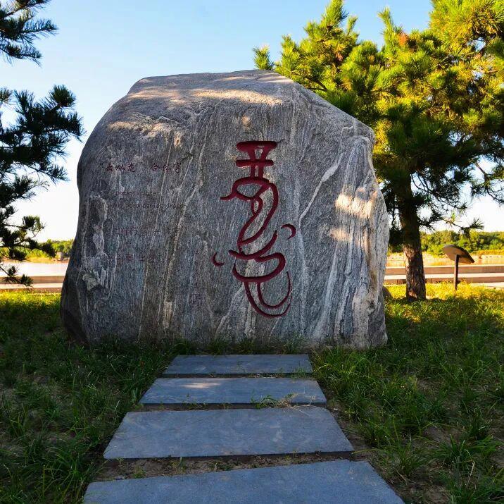 摄影:王琴 往年拍摄于百里黄河风景区