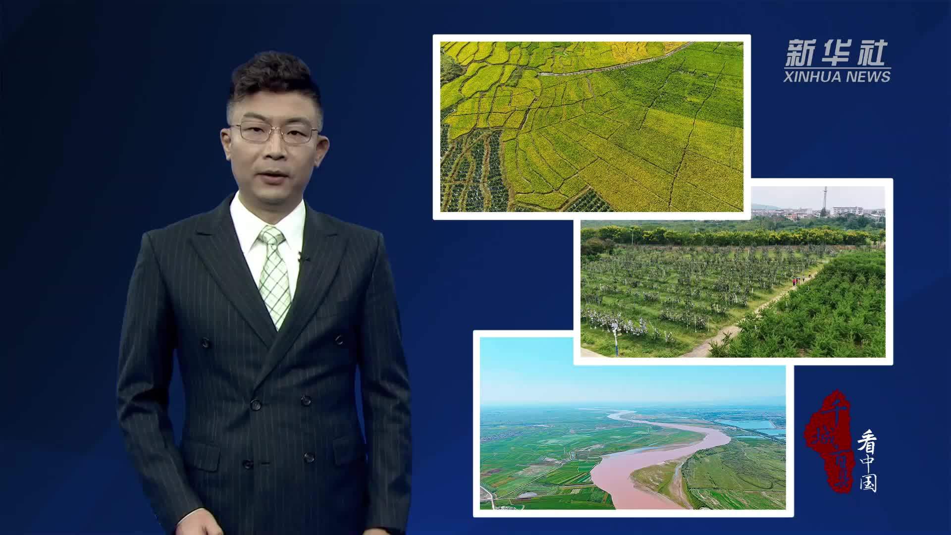 千城百县看中国·丰收节｜三地丰收景 共绘振兴图