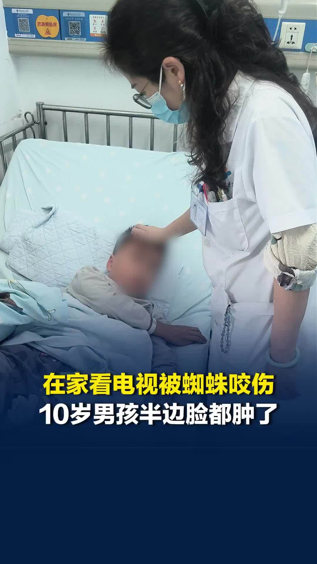 在家看电视被蜘蛛咬伤，10岁男孩半边脸都肿了！医生：立秋后已接诊近700例