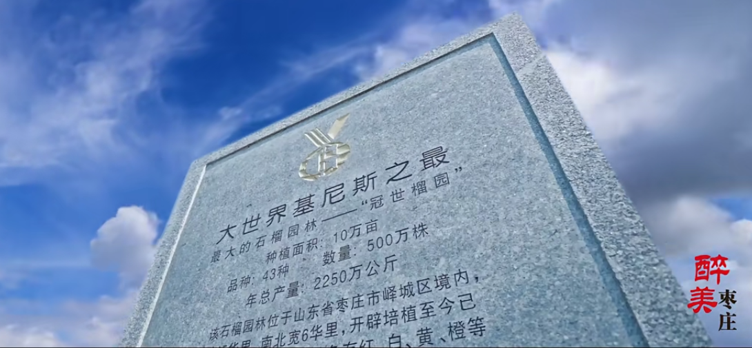 (峄城石榴入选大世界基尼斯之最 图源峄城融媒)
