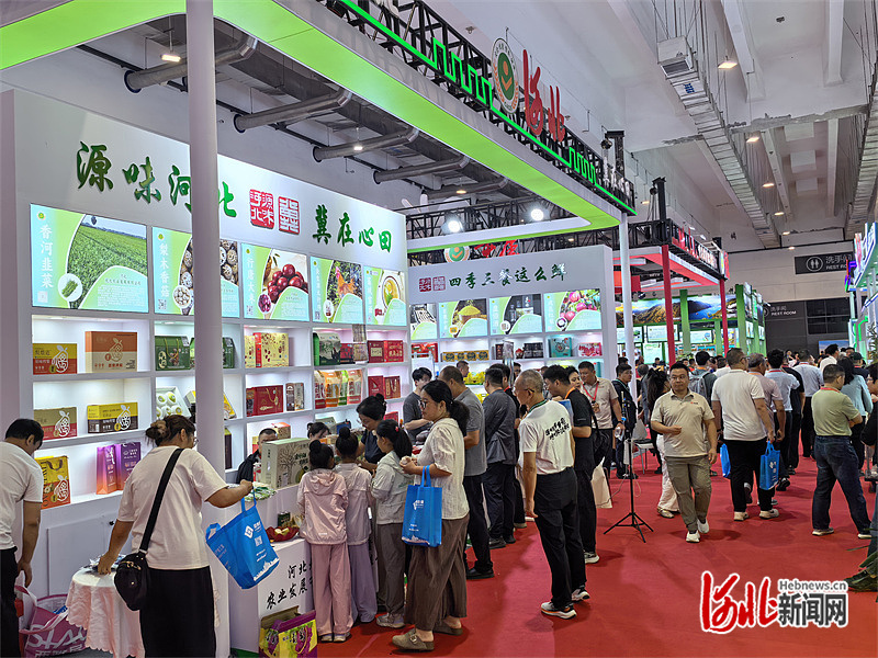 图为河北展区前游客驻足体验。