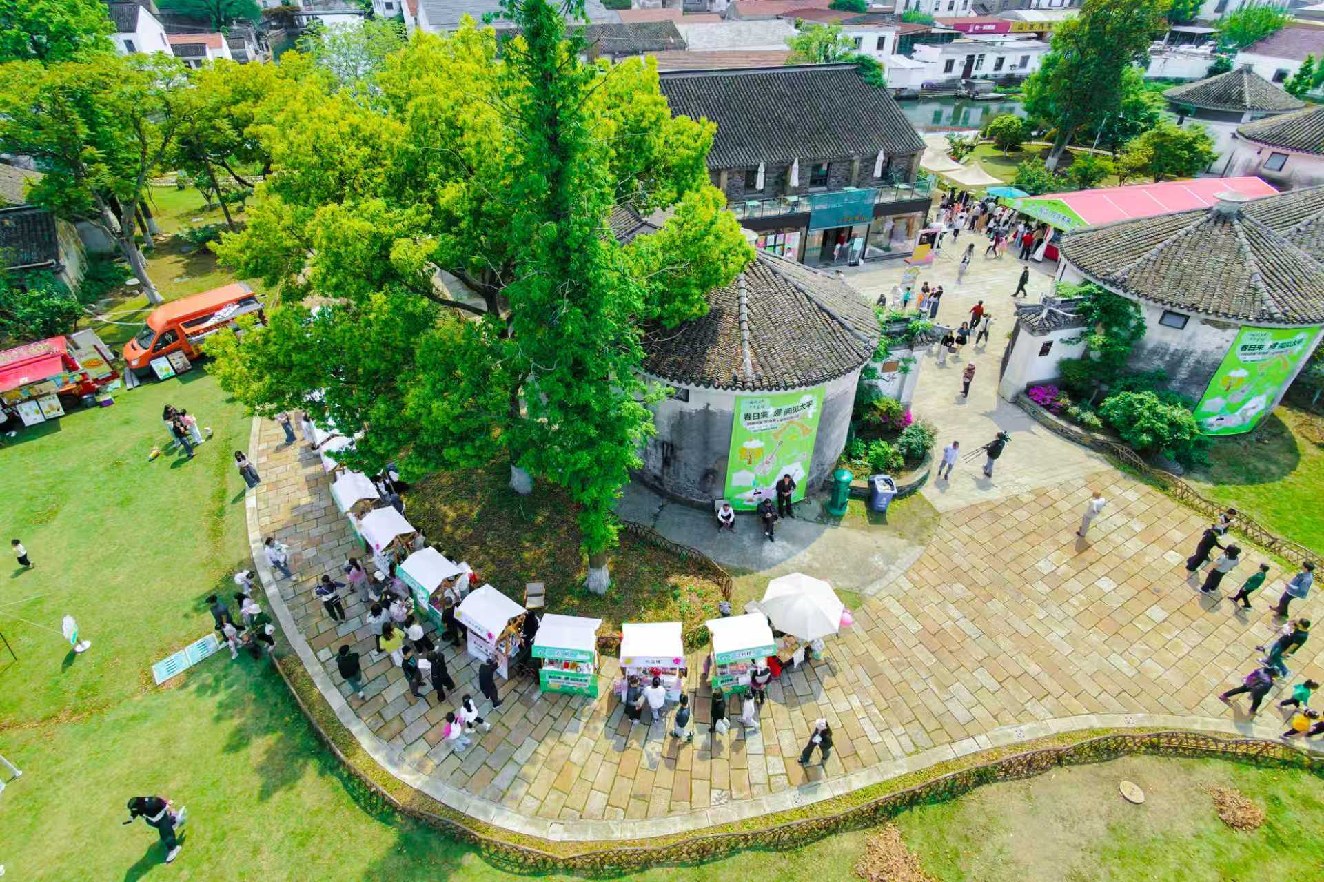 相城区太平街道:文明为何在这“生机勃勃”?