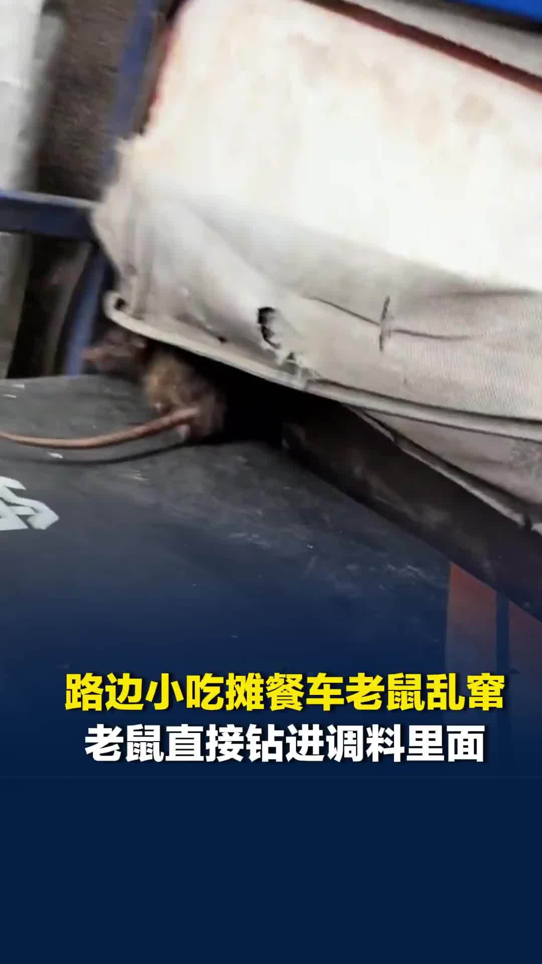 广州一凉皮摊餐车老鼠乱窜，老鼠直接钻进调料里，目击者提醒附近居民谨慎食用