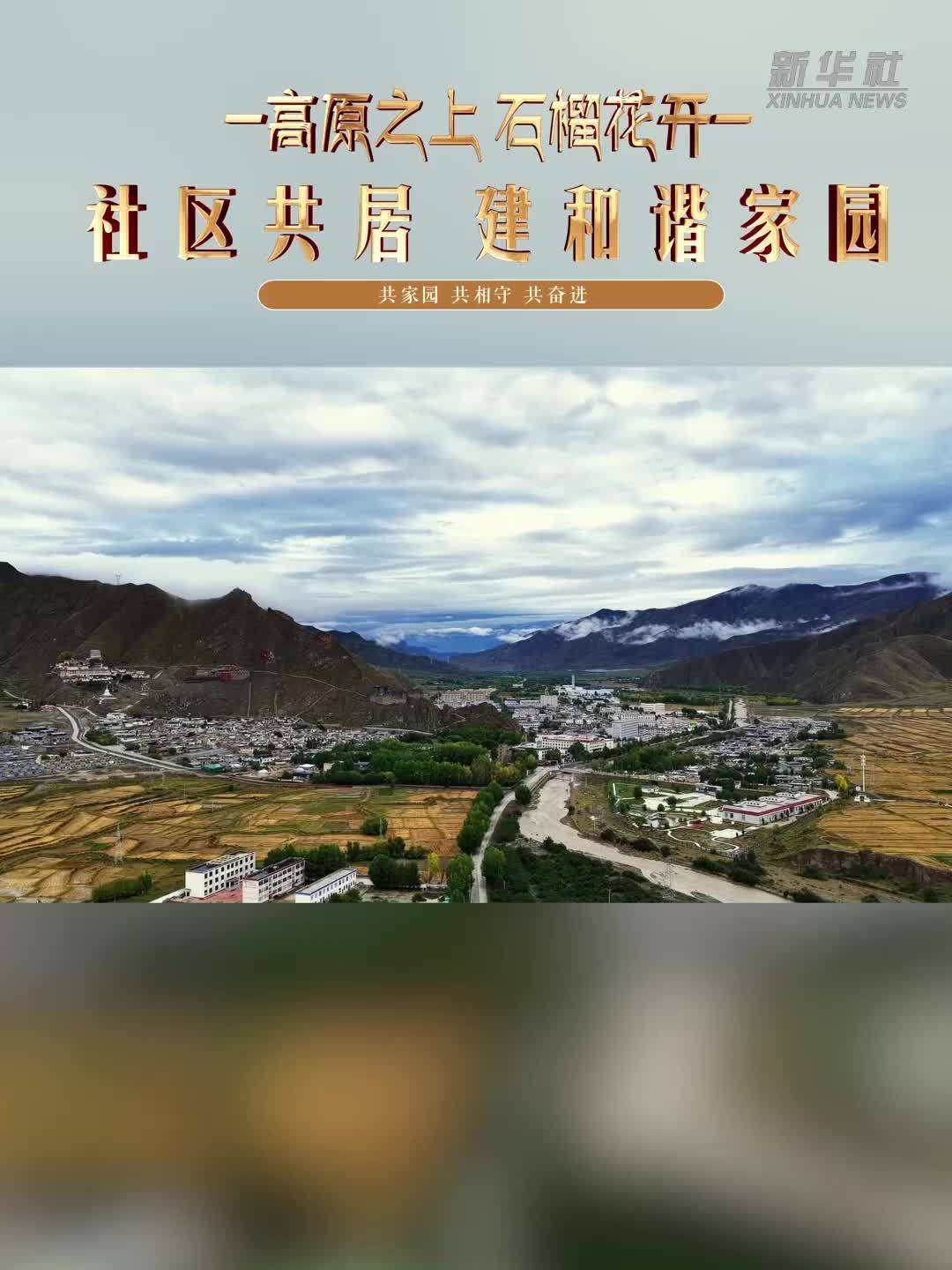 高原之上，石榴花开——社区共居 建和谐家园