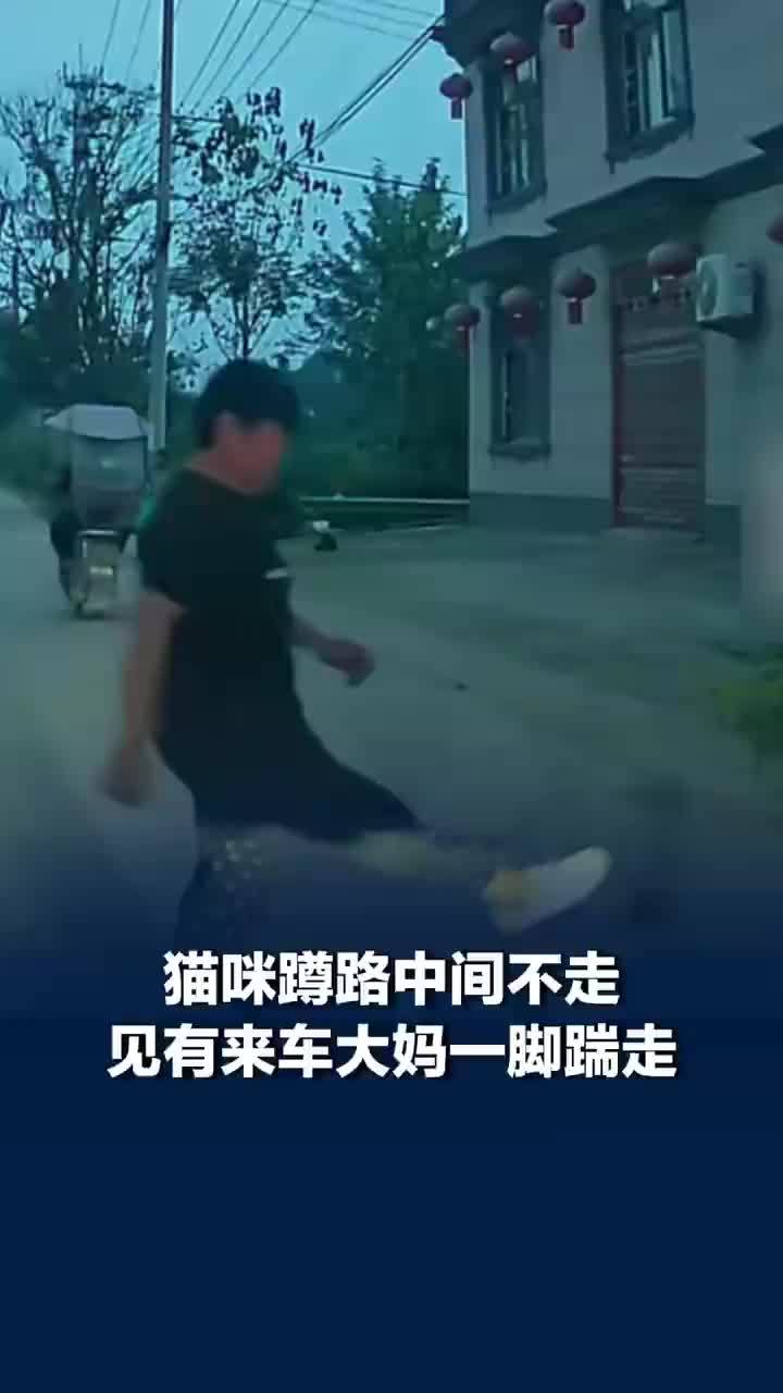 大妈见车辆驶来一脚把猫踹路边