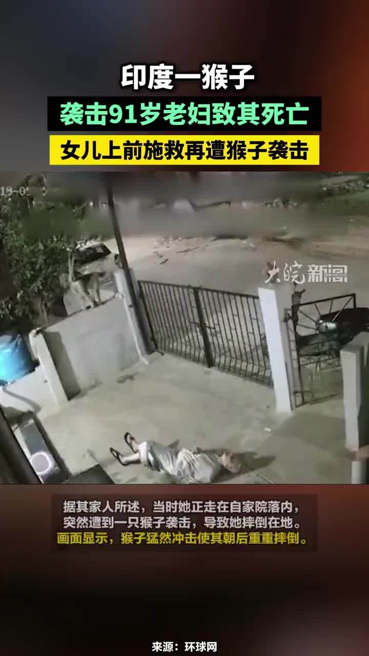 印度一猴子袭击91岁老妇致其死亡，猛然冲击使其重重摔倒，女儿上前施救再遭猴子袭击#印度一猴子袭击91岁老妇致其死亡