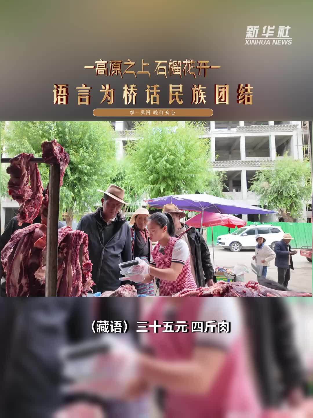 高原之上，石榴花开——语言为桥 话民族团结