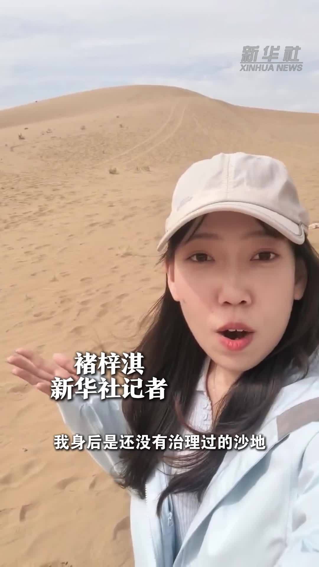 活力中国调研行丨宁夏白芨滩：麦草方格助力防沙治沙