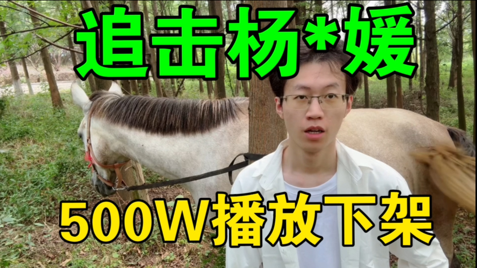 【补档500W播放】全球追击！杨*媛！918活动找同名小学生？胆子肥嘟嘟