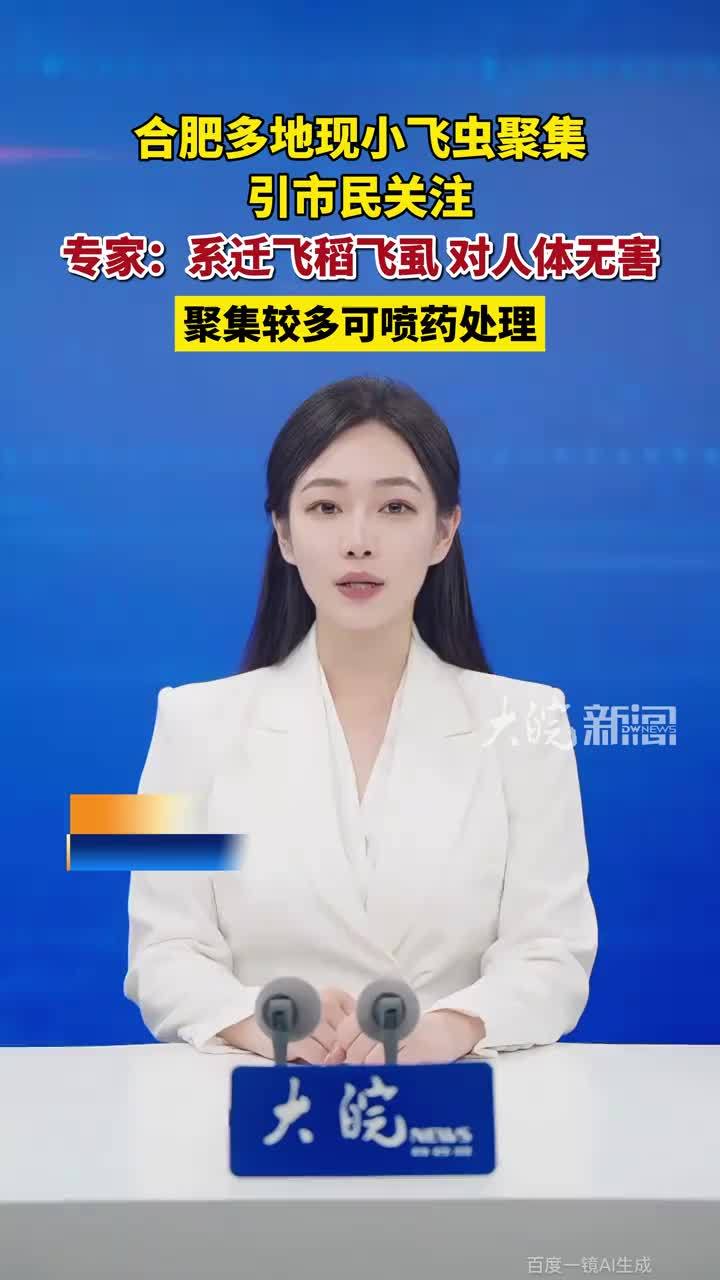 #媒体原创 合肥多地现小飞虫聚集，引市民关注 专家：系迁飞稻飞虱，对人体无害，聚集较多可喷药处理 #稻飞虱 #小飞虫