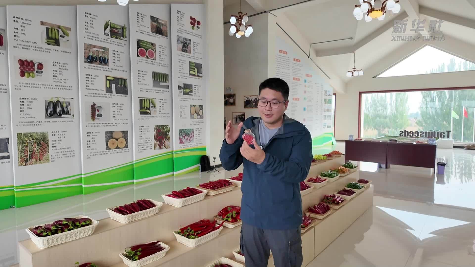 活力中国调研行｜来宁夏看一粒种子和一杯酒的故事