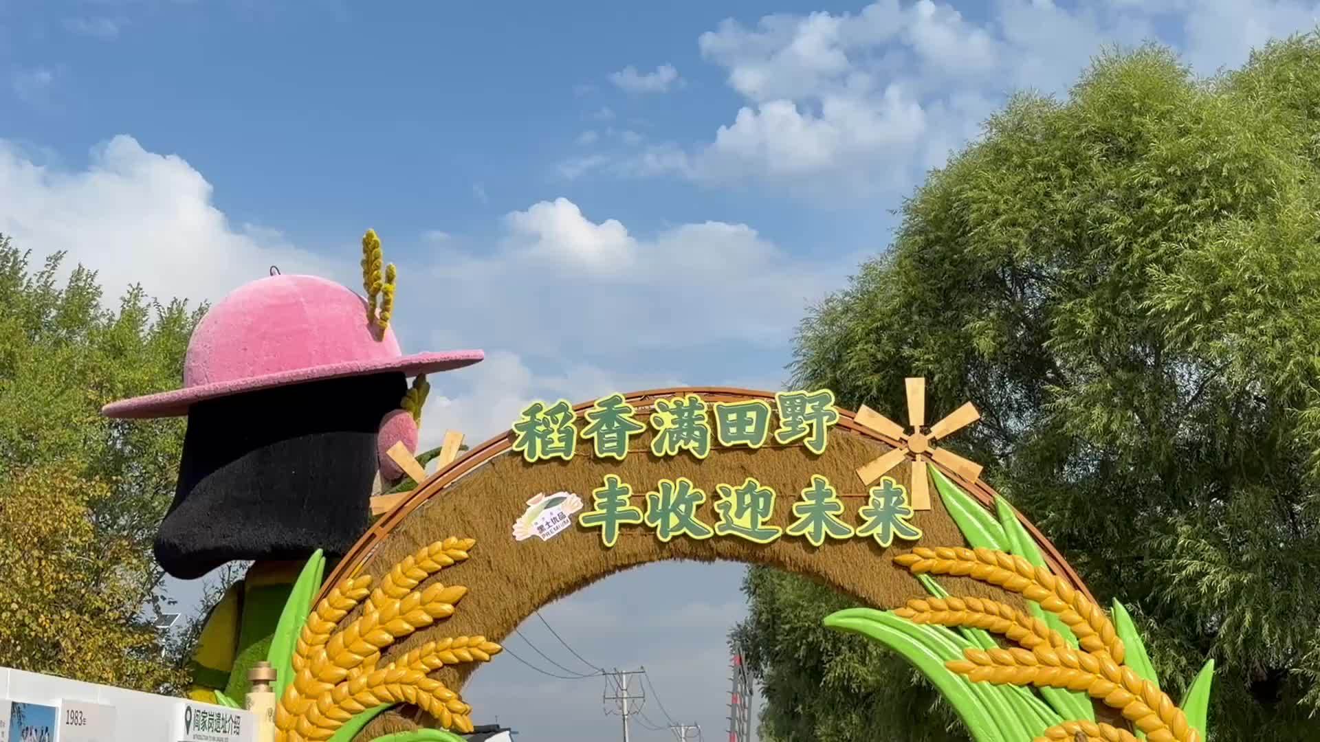 黑龙江：发展定制农业实现“好粮卖好价”