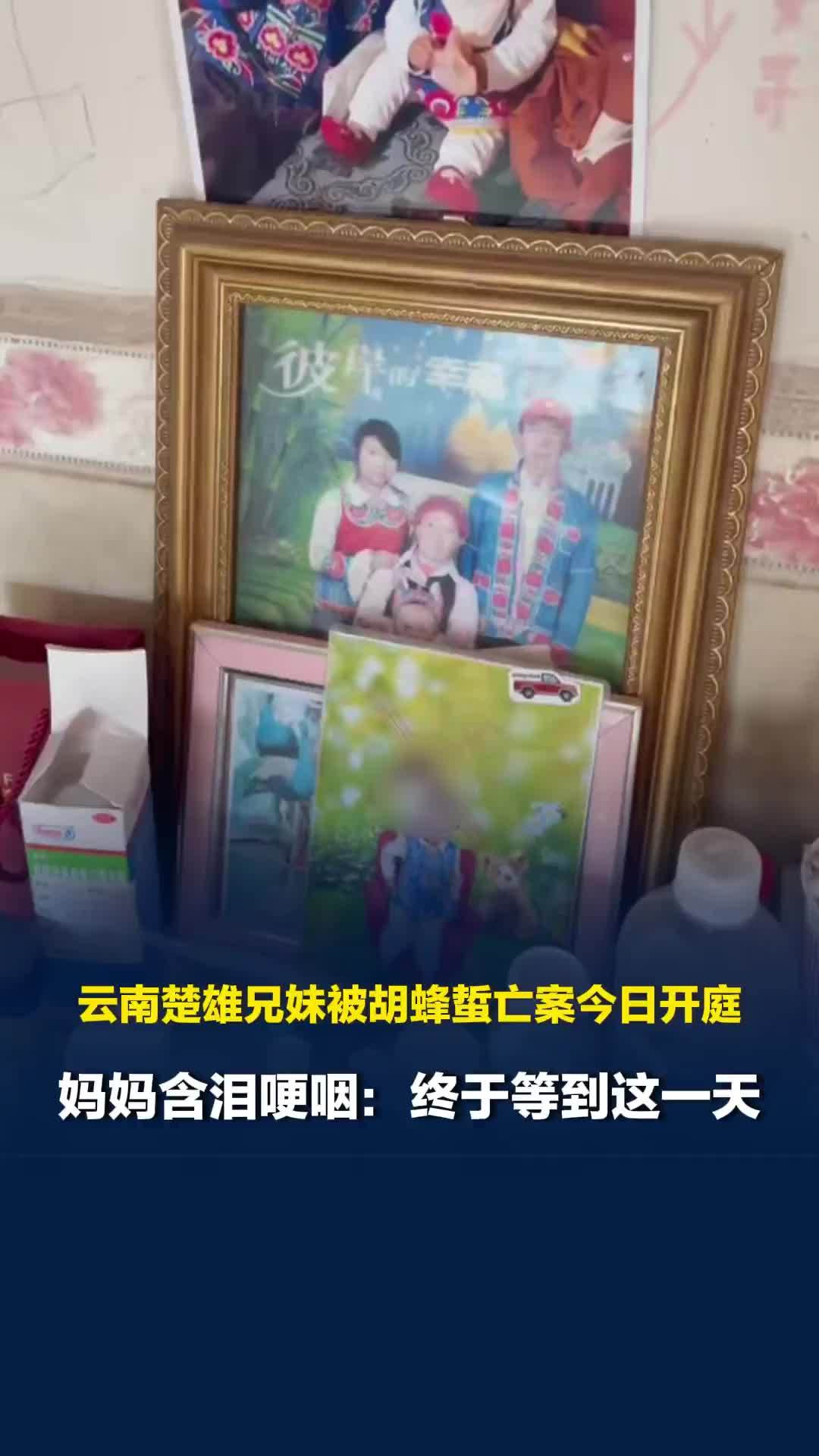 云南楚雄兄妹被胡蜂蜇亡案今日开庭，妈妈含泪哽咽：终于等到这一天