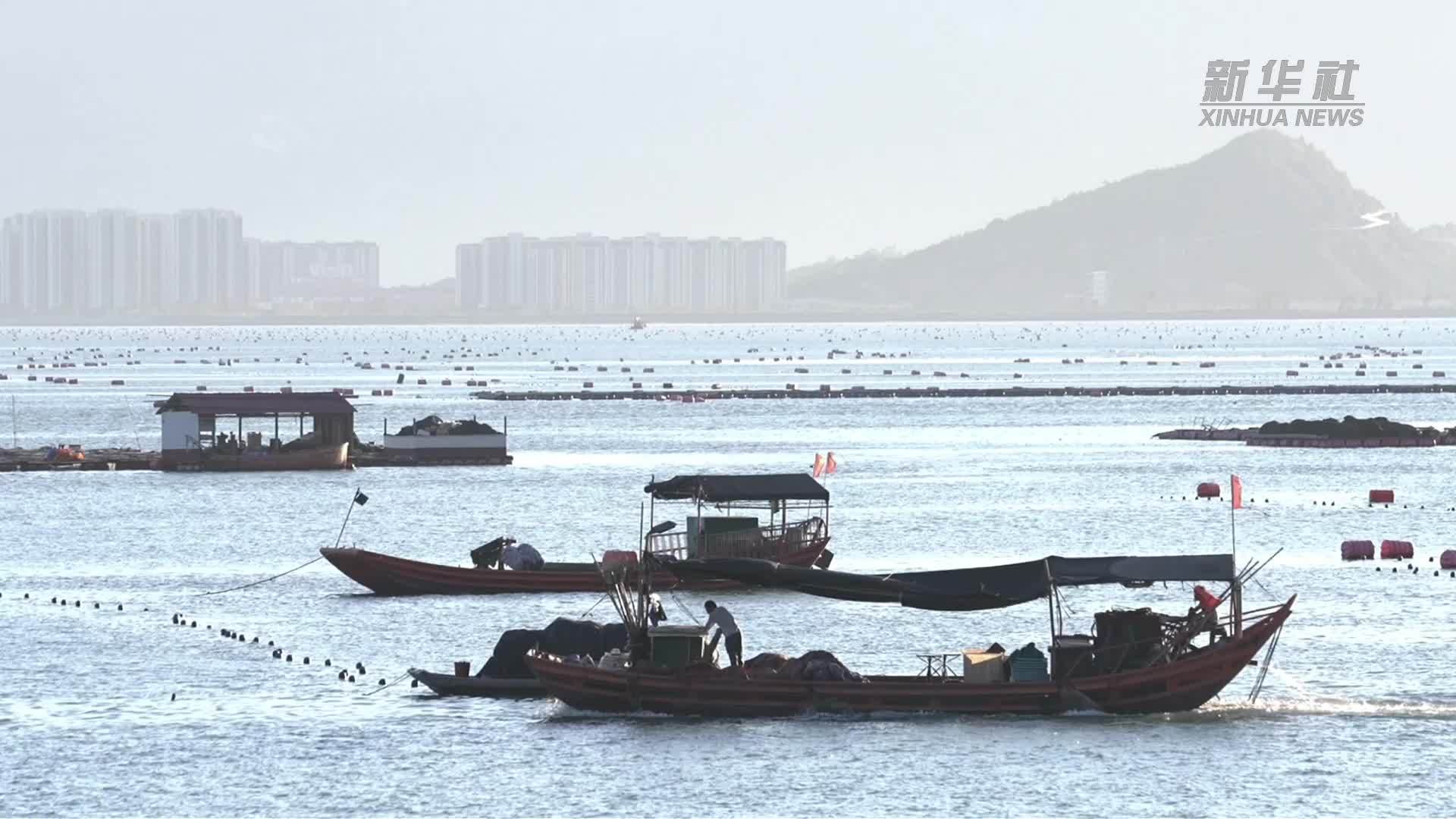 万里边疆行｜“养海护海”福安宁海村的绿色转身