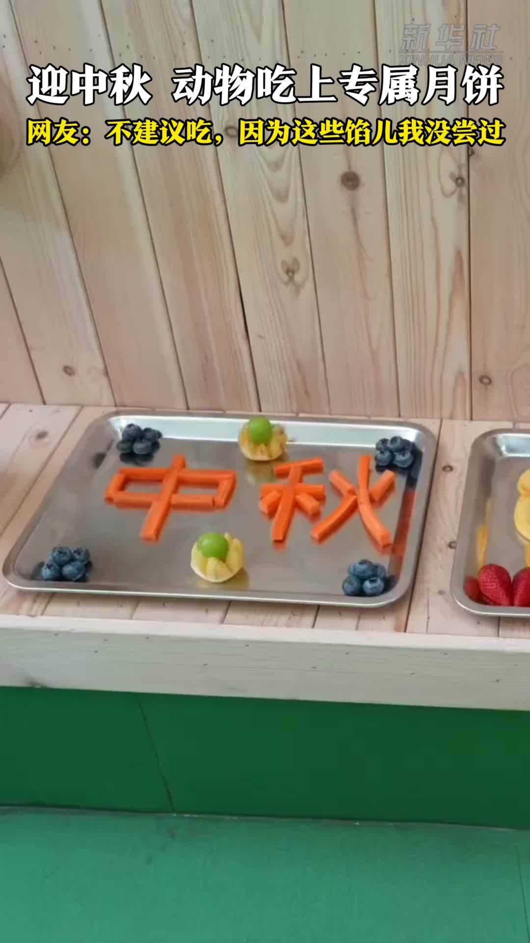 迎中秋 动物吃上专属月饼