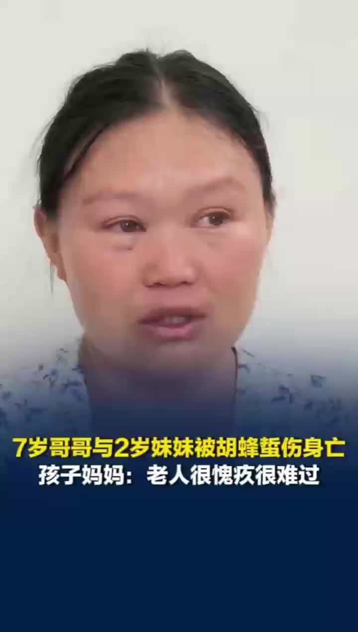 2名留守儿童被胡蜂蜇亡案明日开庭