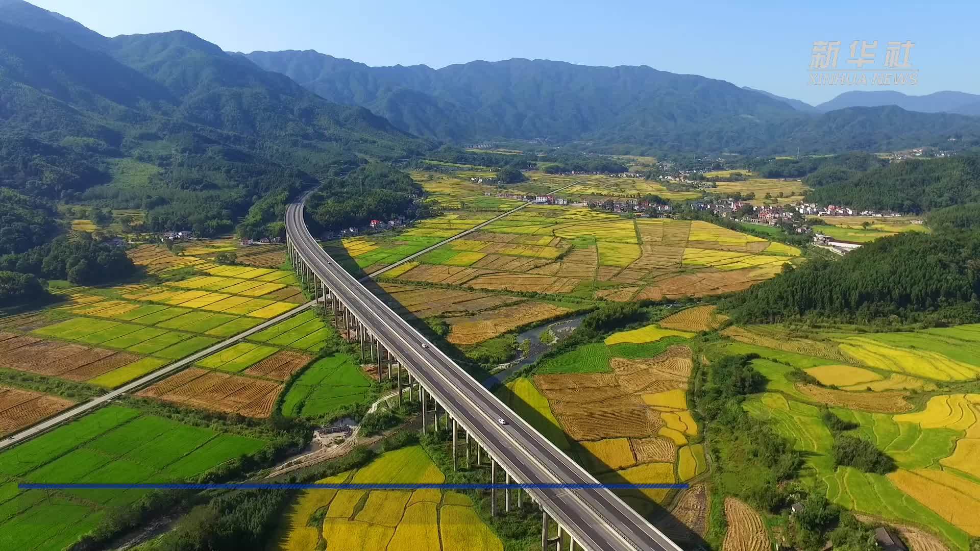 江西宜丰：秋日稻田好“丰”景