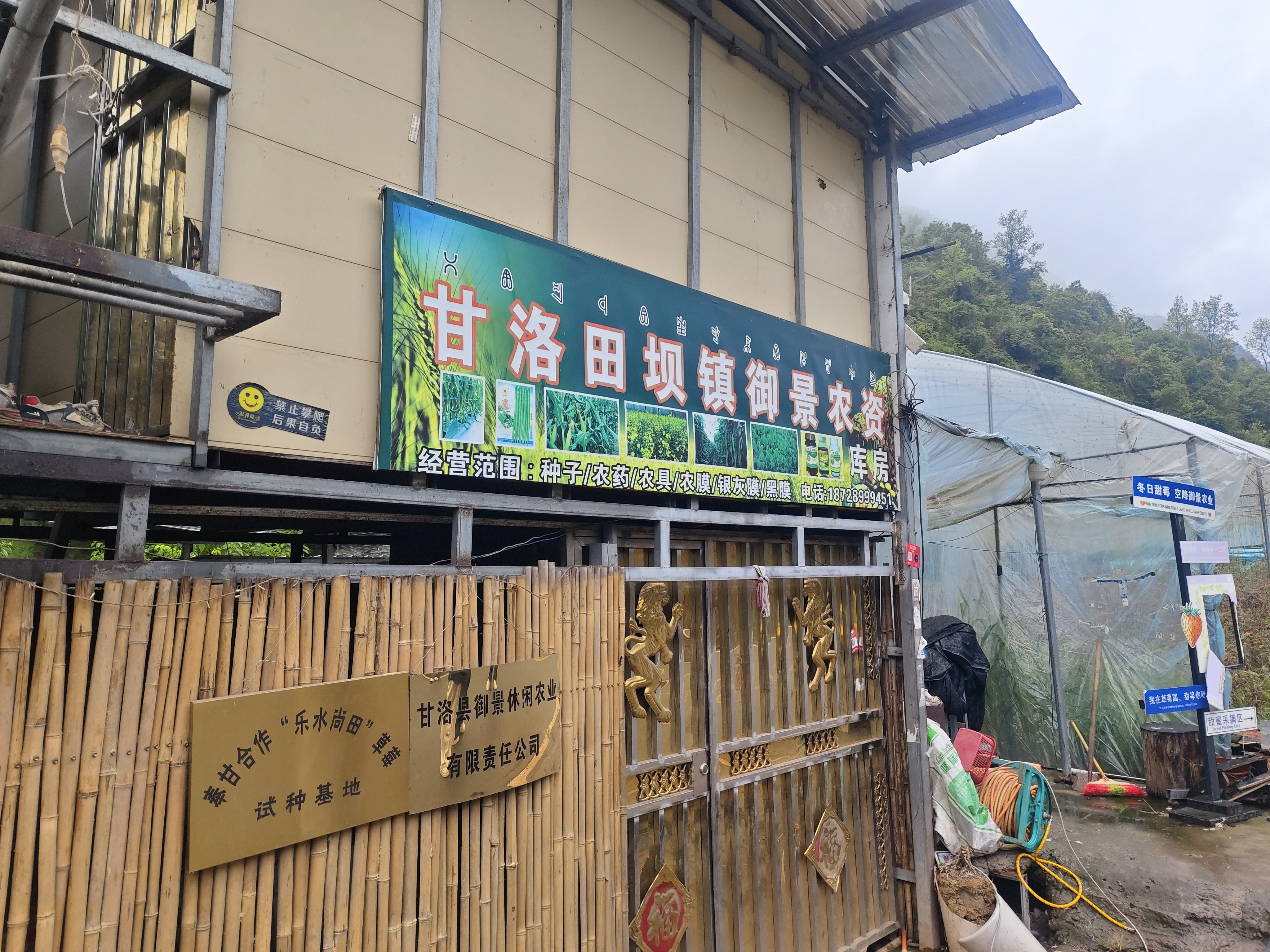 直播间搬进核桃林 奉化职教赋能大凉山助农兴村