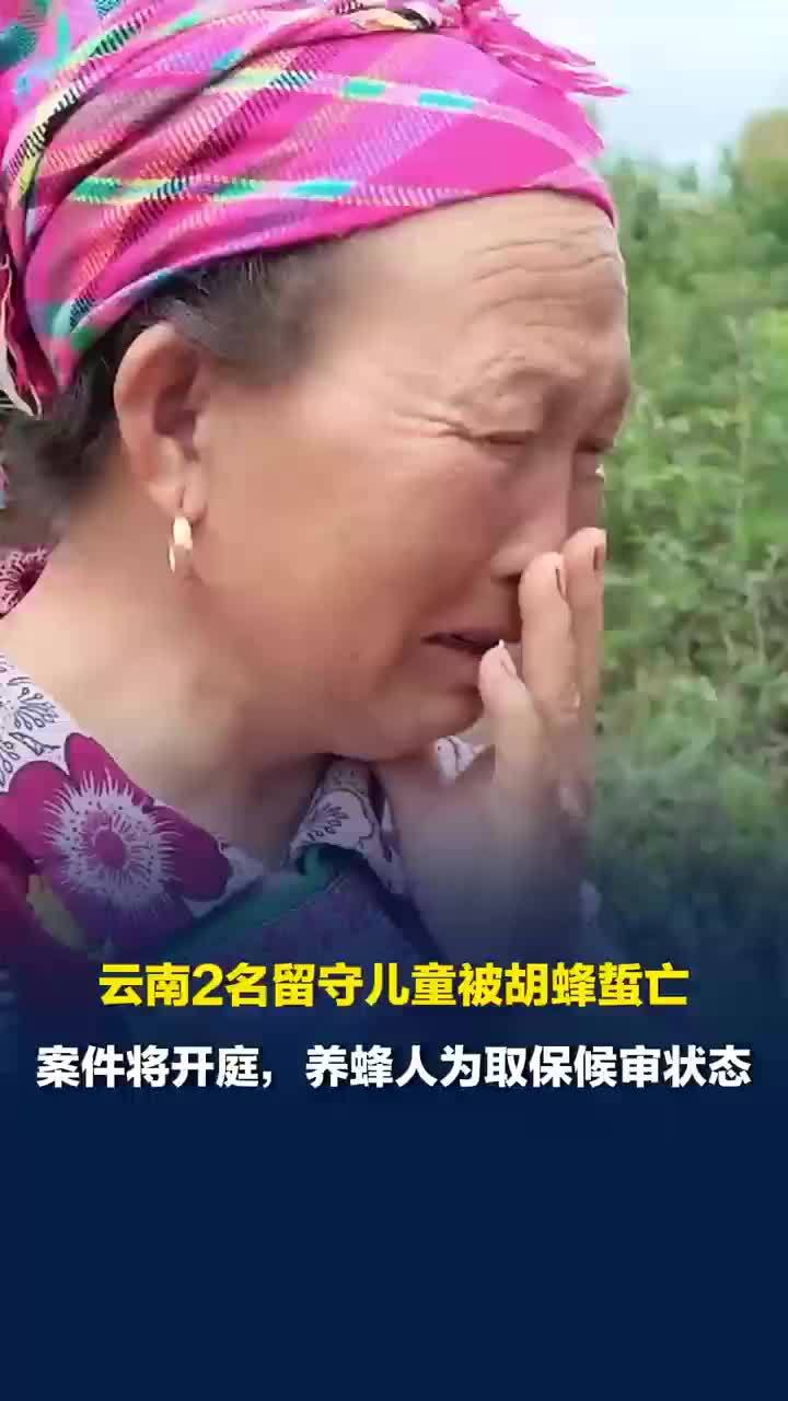 幼童蜇亡案被告人母亲身体不好，幼童被蜇亡村里已不再养蜂