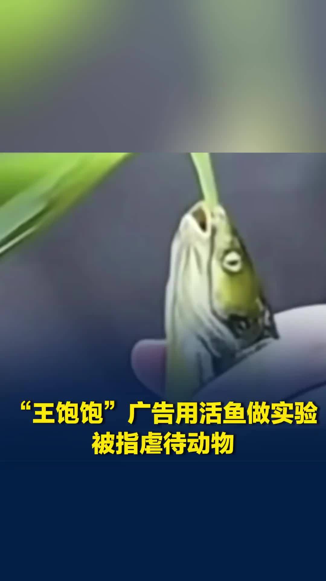 王饱饱广告用活鱼做实验被指虐待动物，客服：拍摄全程控制时长，没有使用伤害性药剂