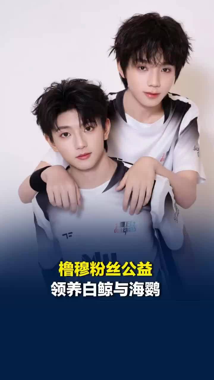 橹穆粉丝公益领养白鲸与海鹦