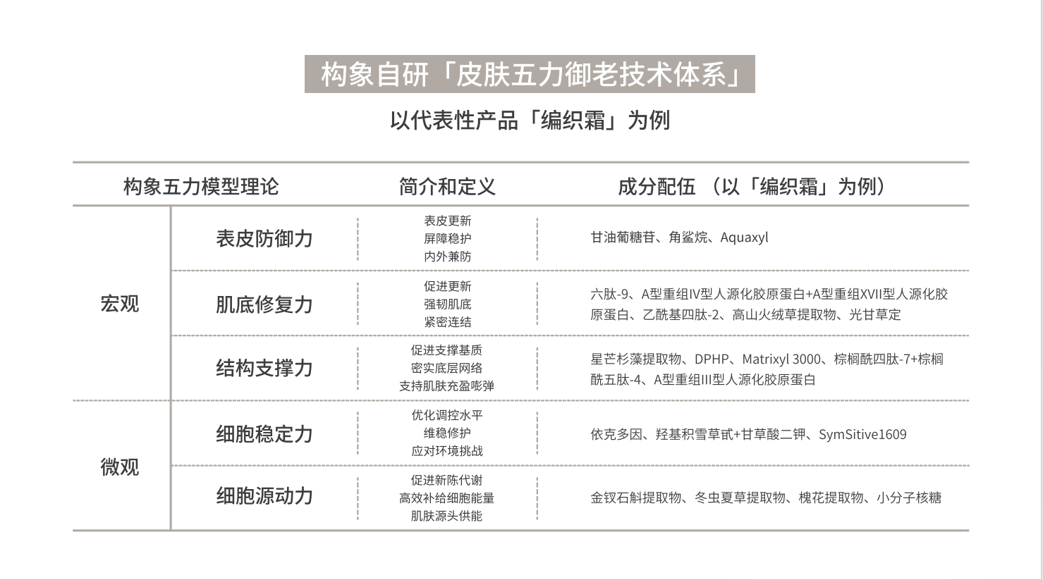 皮肤五力御老体系.png