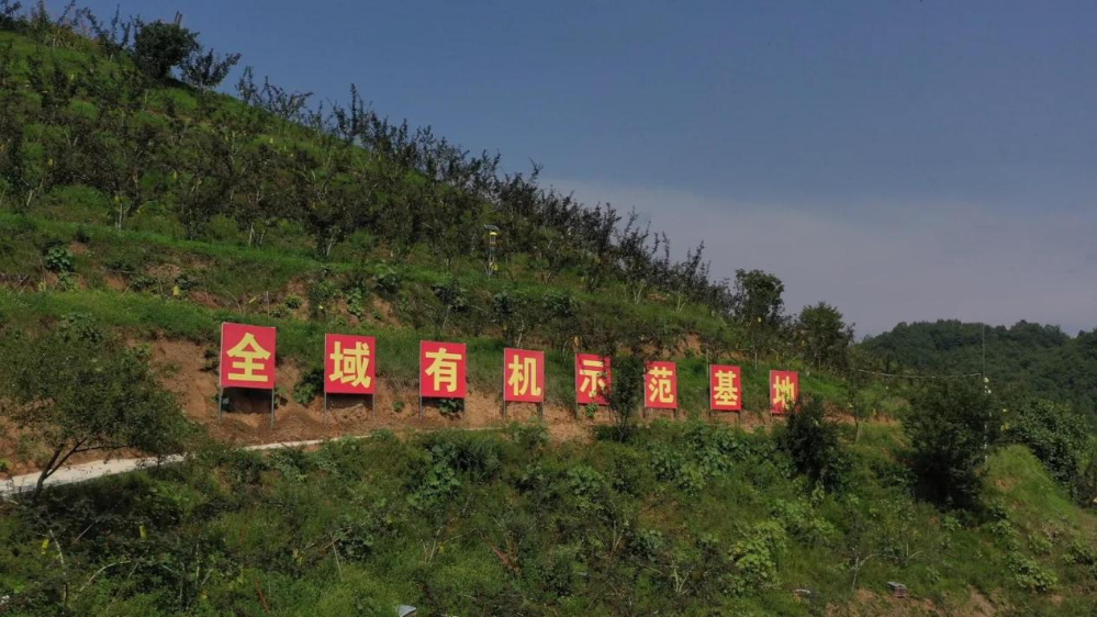 两当县西坡镇“全域有机”示范基地 两当县委宣传部供图