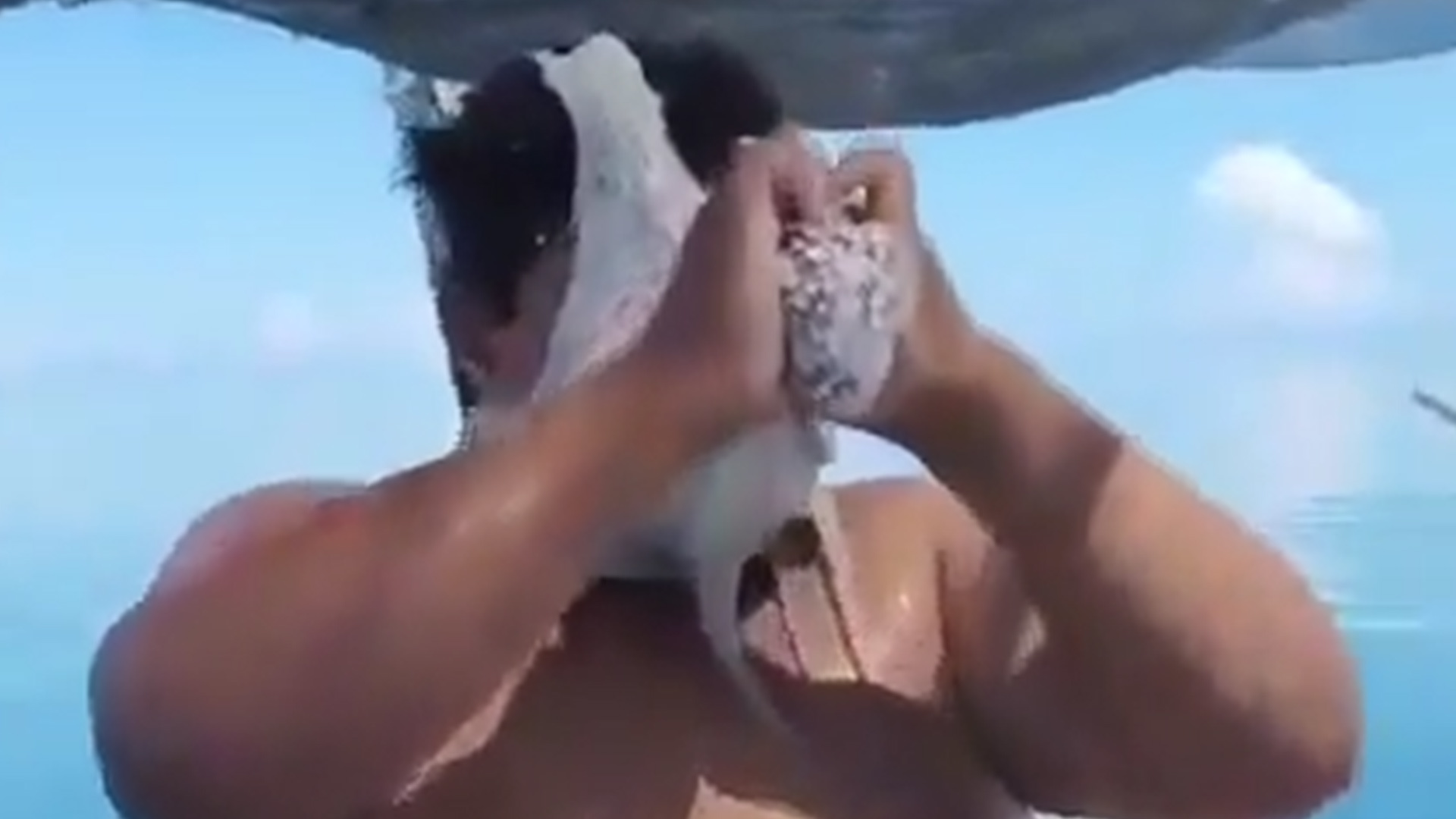 抱脸怪的灵感来源？墨西哥渔民被章鱼紧紧缠住脸部，怎么都拽不下来，同伴在一旁放声大笑