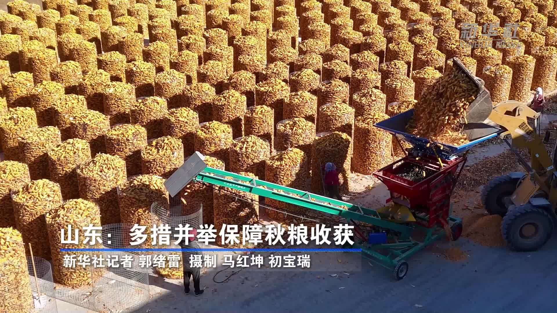 山东：多措并举保障秋粮收获