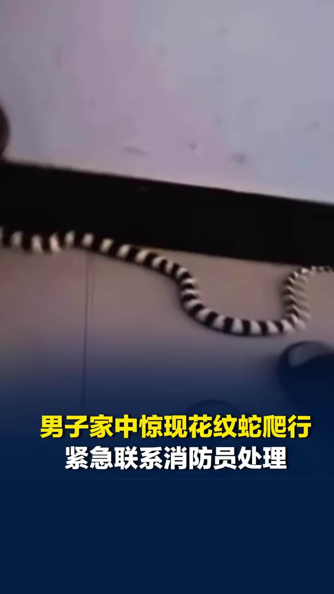男子家中惊现花纹蛇爬行，紧急联系消防员处理，当事人：万幸没睡着，蛇已抓走