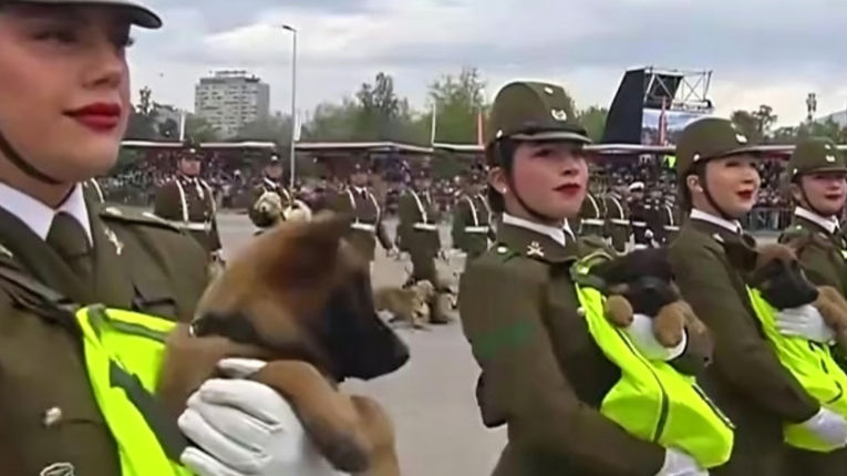 智利阅兵式上，女兵抱奶狗警犬受阅
