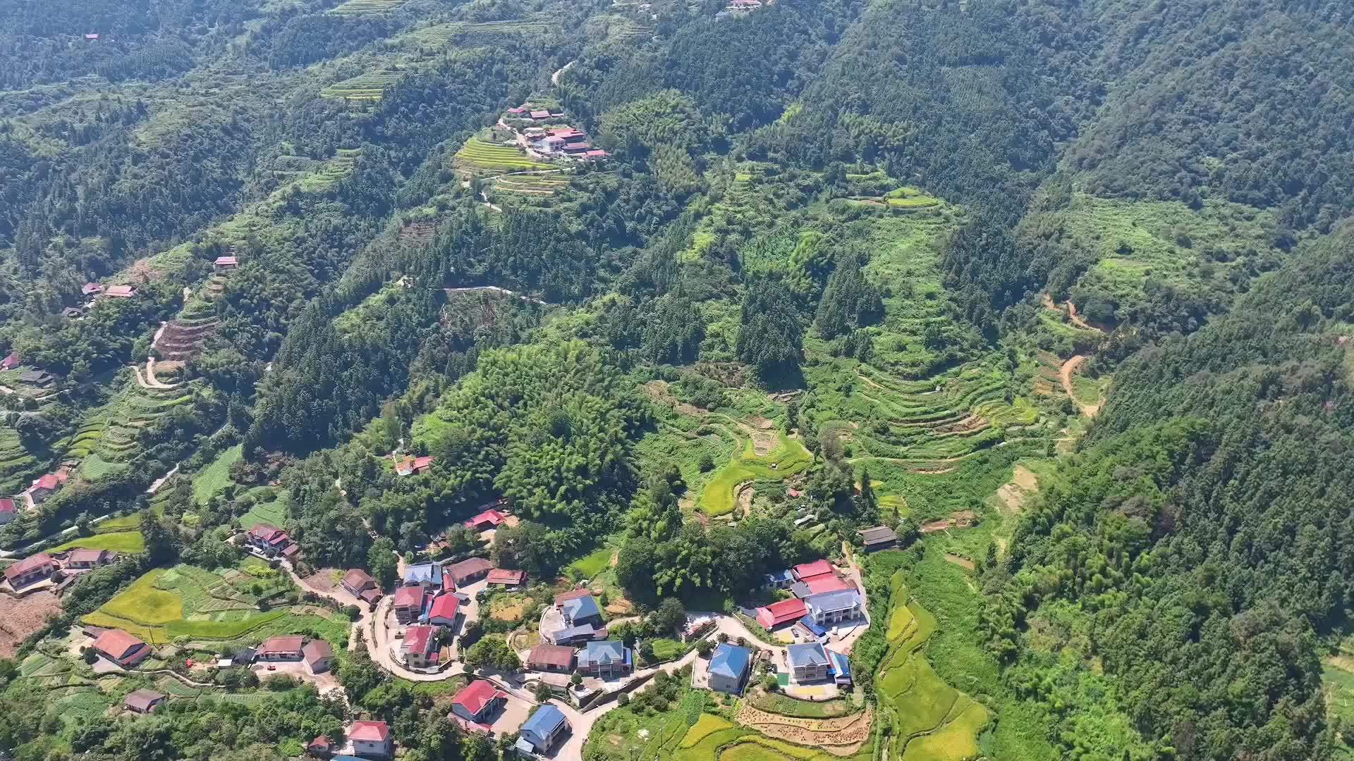 金秋稻熟满三湘 梯田稻海皆丰景